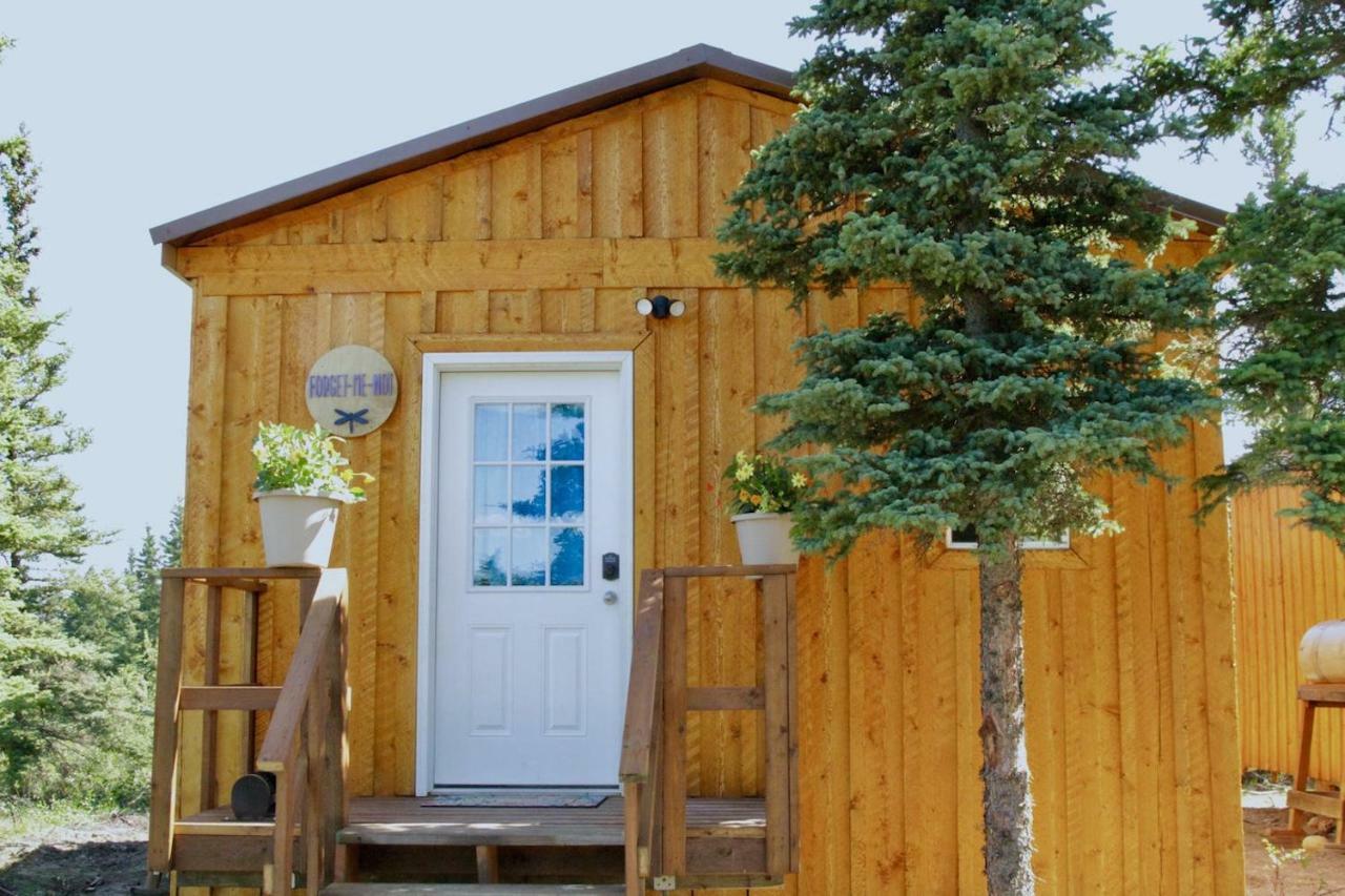 Arctic Dragonfly Inn Хийли Екстериор снимка